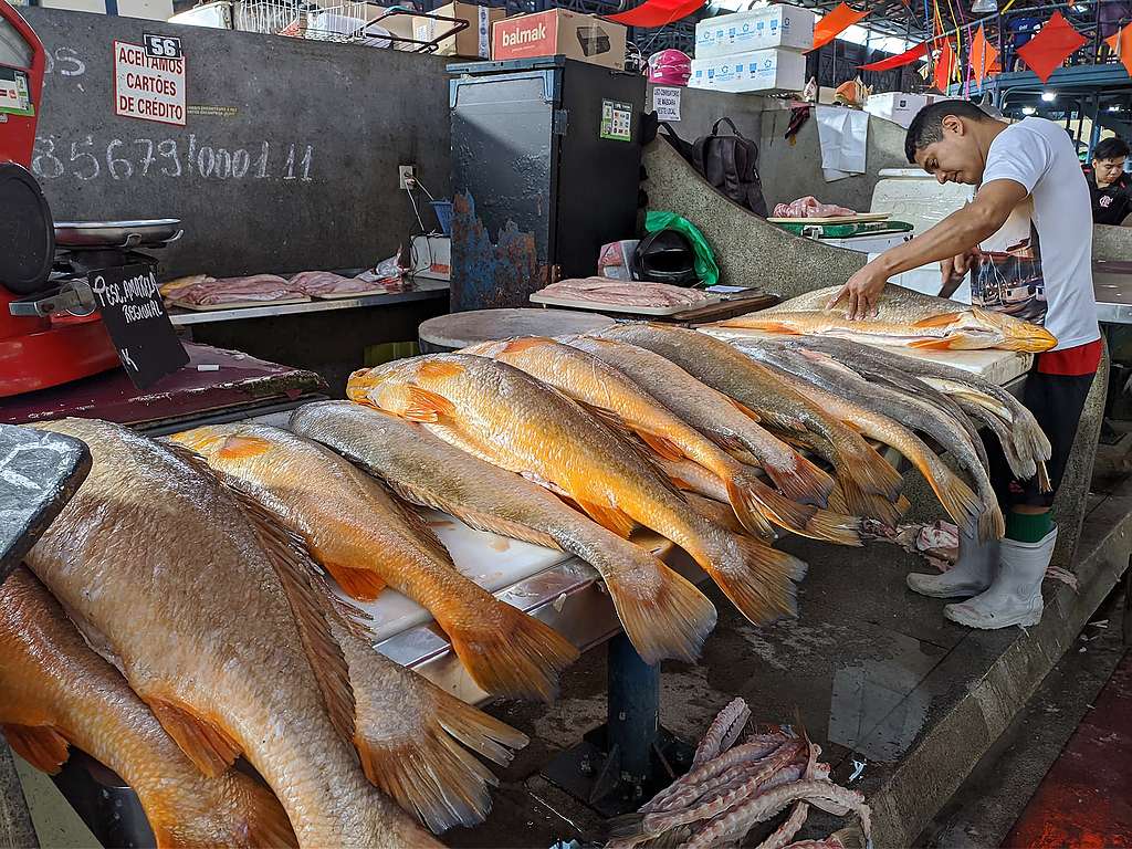 Foto no Mercado Ver-O-Peso, em Belém (PA).