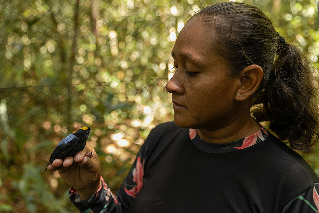Pesquisadora de  Avifauna durante a expedição ''Amazônia Que Precisamos'' 