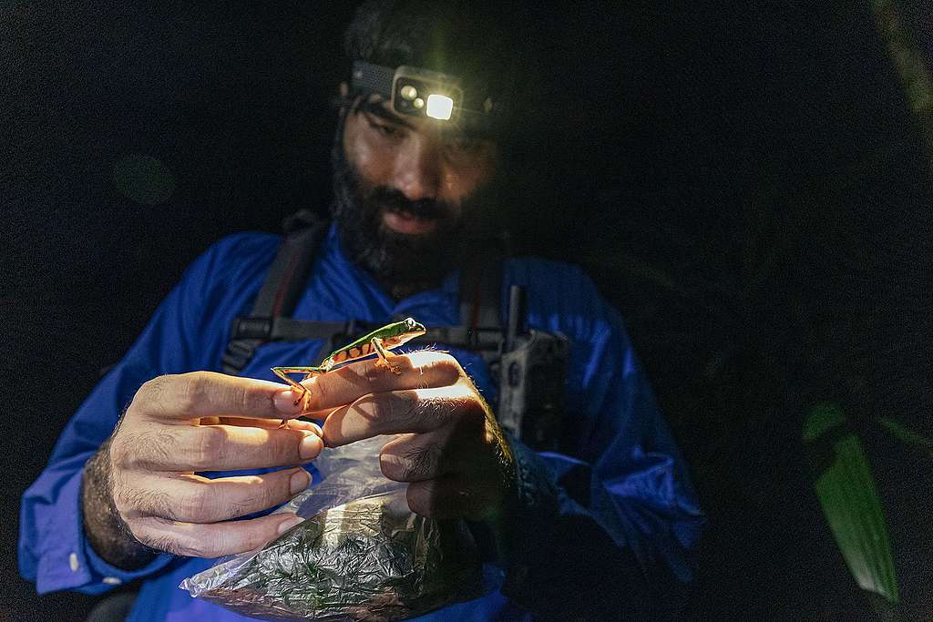 Expedição “Amazônia Que Precisamos” no Amazonas - Pesquisadores de Herpetofauna