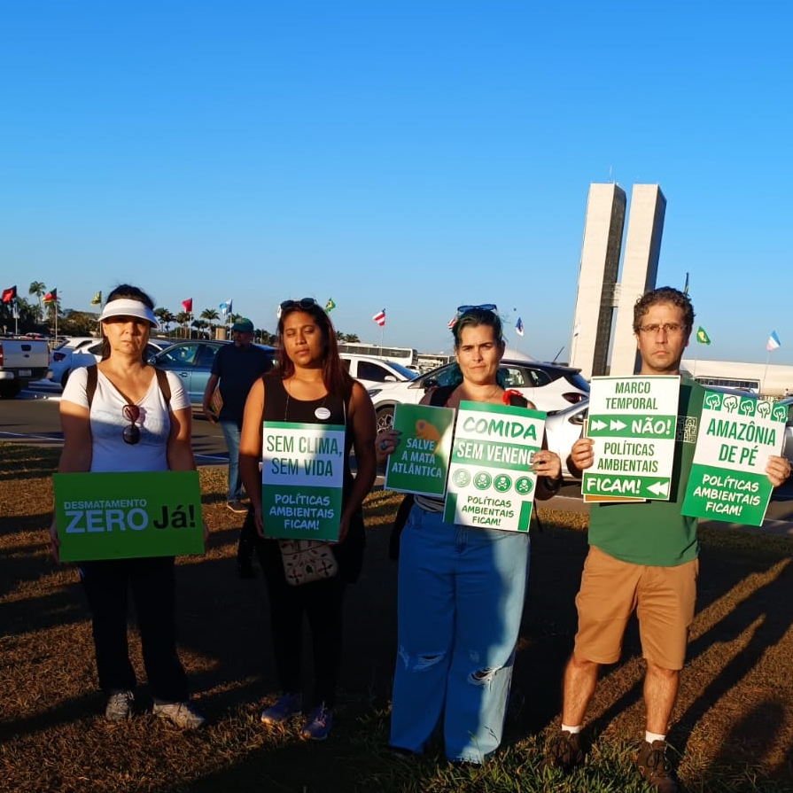 Voluntários em mobilização a favor do meio ambiente