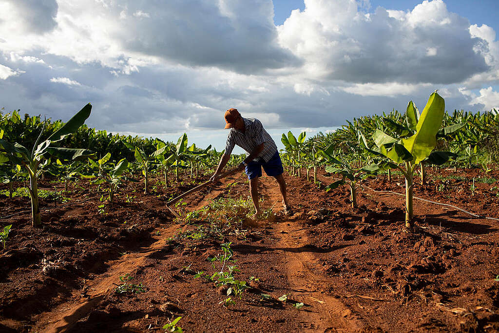 Expedition Vale do Jaguaribe, in Ceará, Brazil. © Nilmar Lage / Greenpeace Expedition Vale do Jaguaribe, in Ceará, Brazil. © Nilmar Lage / Greenpeace