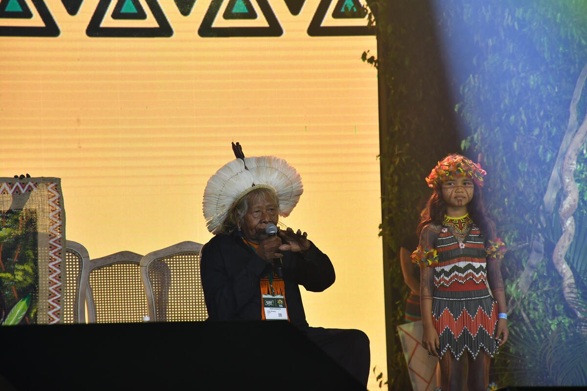 Amazon Summit in Belém, Brazil. © João Paulo Guimarães / Greenpeace