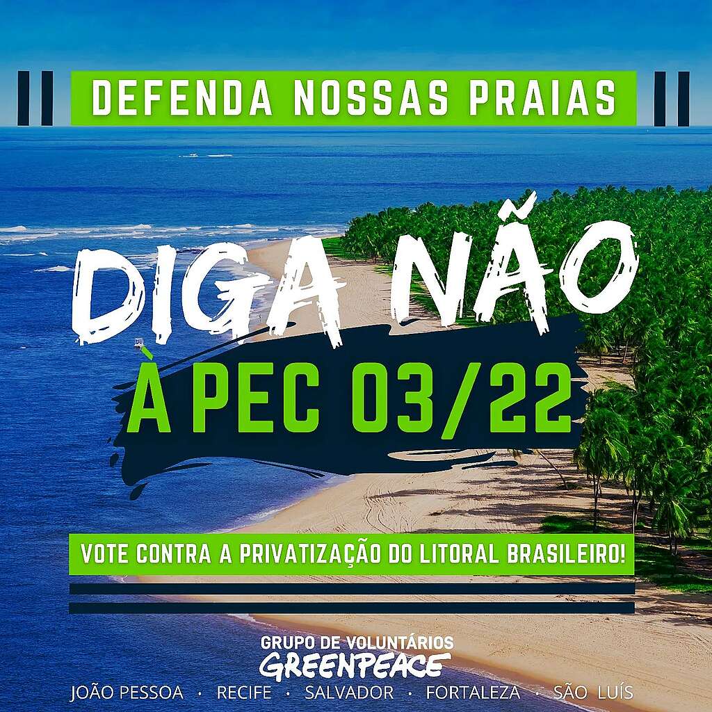 Arte com fotografia de praia no fundo de mobilização online contra a privatização do litoral brasileiro Arte com fotografia de praia no fundo de mobilização online contra a privatização do litoral brasileiro