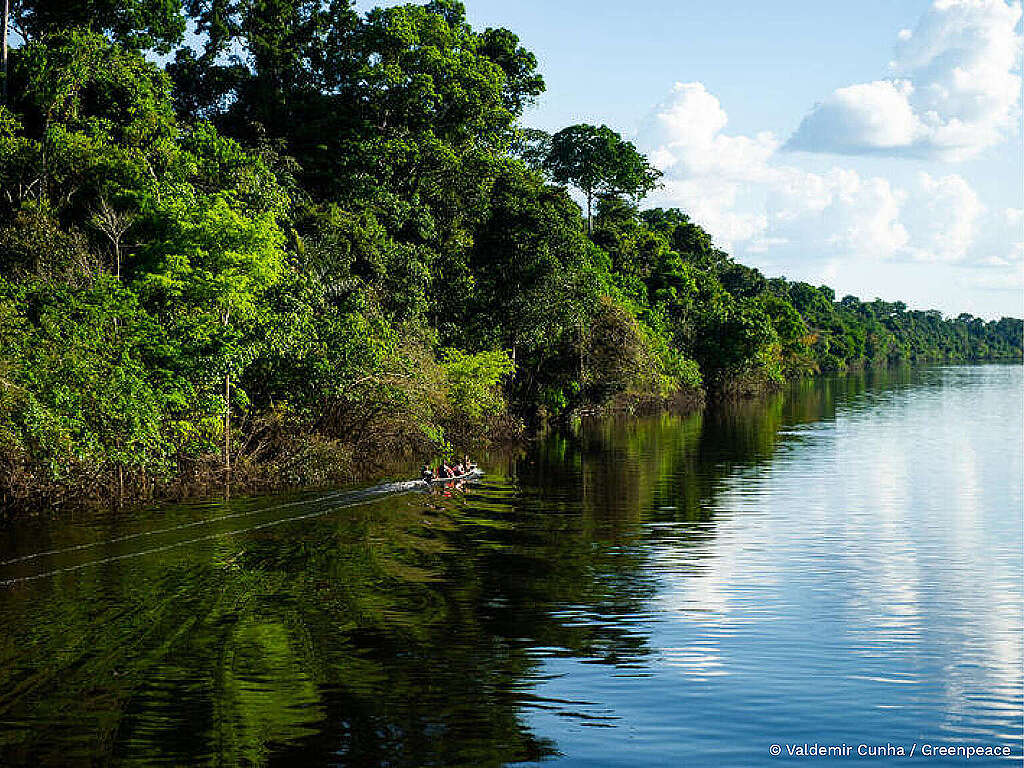 Fotografia do Rio Manicoré, no sul do Amazonas, na Amazônia, onde as árvores com predominância da cor verde aparecem refletidas nas águas do rio. 