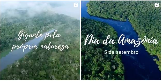 Montagem de fotografias utilizadas para capas de vídeos no Dia da Amazônia