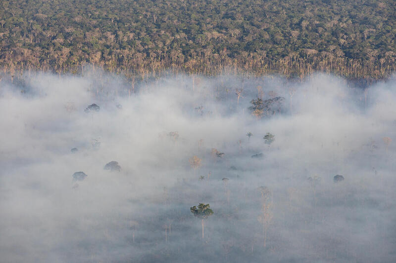 Desmatamento da Amazônia tem queda de 22% em 2023 - Greenpeace Brasil