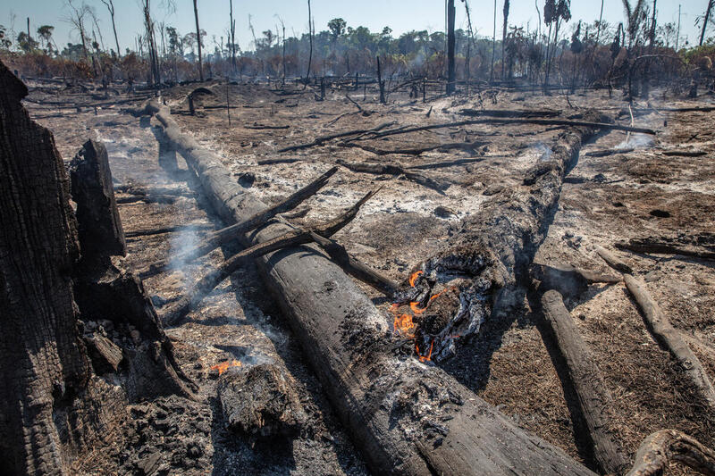Janeiro mais quente da História: Brasil e mundo não estão preparados para a crise climática