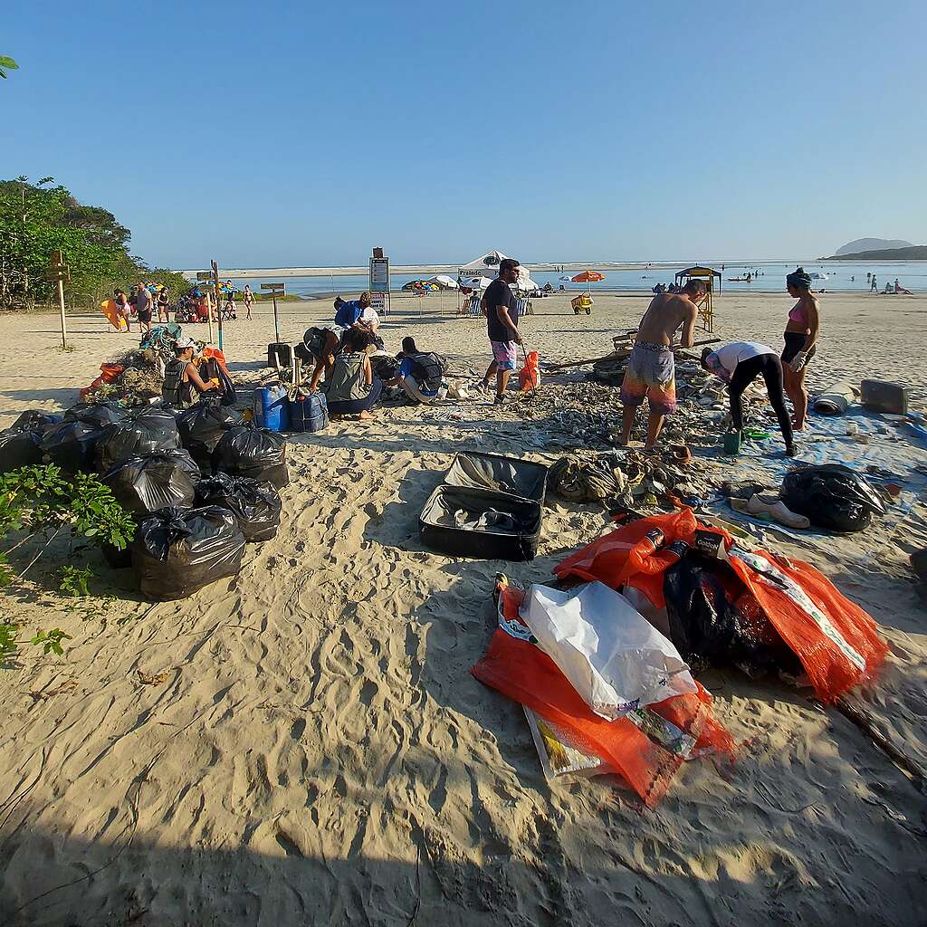 Fotografia de voluntários em ação de limpeza na praia Fotografia de voluntários em ação de limpeza na praia