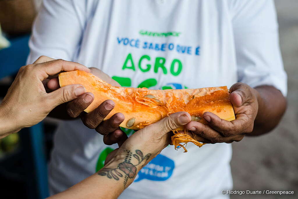 Em plano fechado, mostra-se uma doação de alimentos, o foco da imagem é na entrega de um pedaço de abóbora.