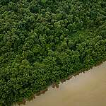 Parque Nacional do Cabo Orange - Amapá - Brasil
National Park of Oiapoque - Amapá - Brazil