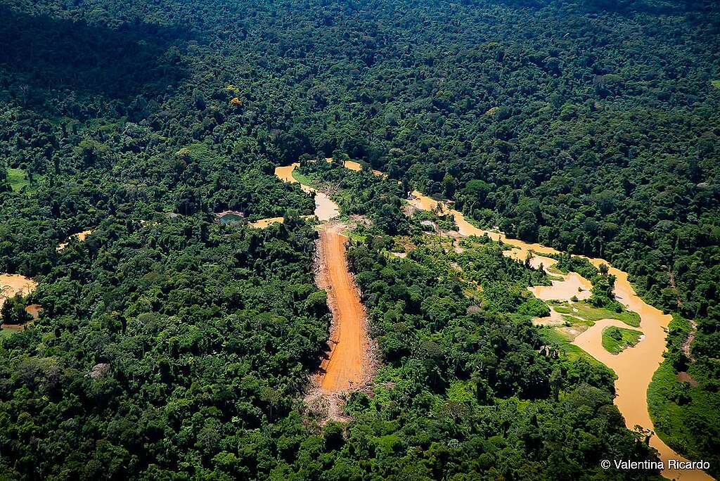 Imagem área de estradas ilegais dentro da floresta, no caso, da Terra Indígena Yanomami. O verde da floresta fechada é cortado pelo marrom das estradas de terra. 