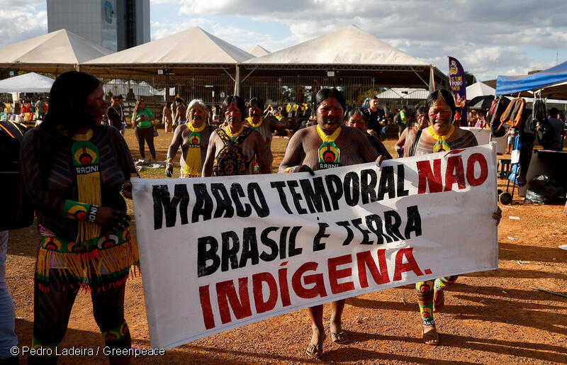 Entenda como o marco temporal coloca em risco a vida dos povos indígenas e enfraquece a defesa do meio ambiente e da biodiversidade do Brasil