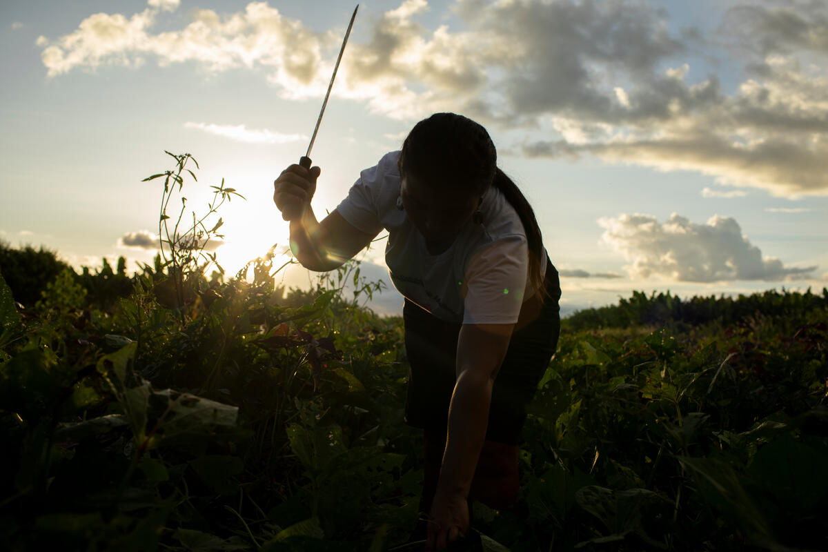 Expedition Vale do Jaguaribe, in Ceará, Brazil. © Nilmar Lage / Greenpeace