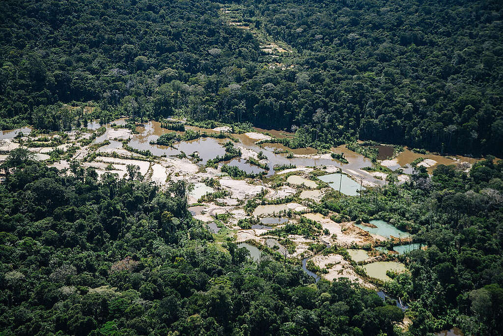 Overflight on Munduruku and Kayapó Territories in Pará, Brazil. © Christian Braga / Greenpeace Overflight on Munduruku and Kayapó Territories in Pará, Brazil. © Christian Braga / Greenpeace