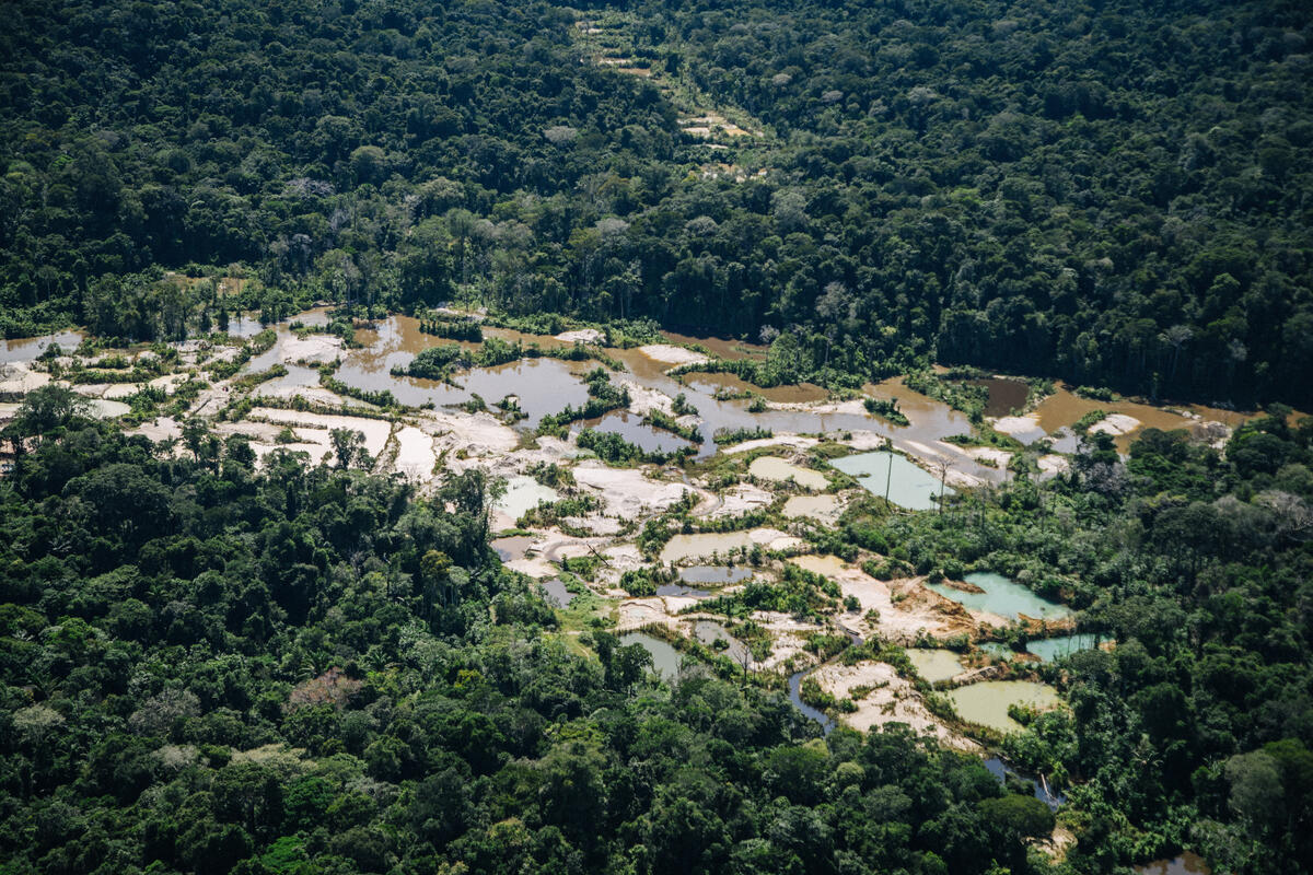 Overflight on Munduruku and Kayapó Territories in Pará, Brazil. © Christian Braga / Greenpeace