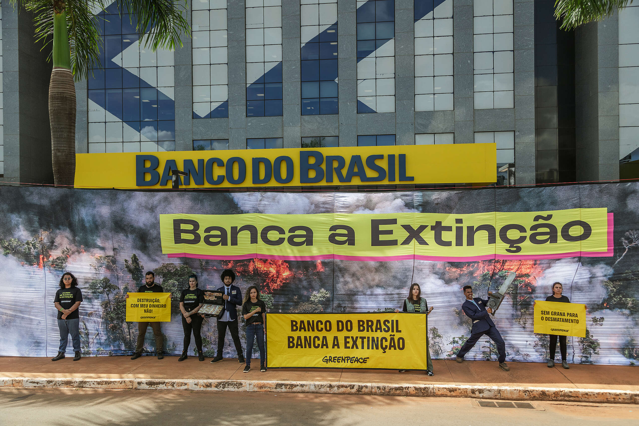Em ato na sede do Banco do Brasil, Greenpeace pede que instituição financeira deixe de financiar propriedades que promovem desmatamento na Amazônia