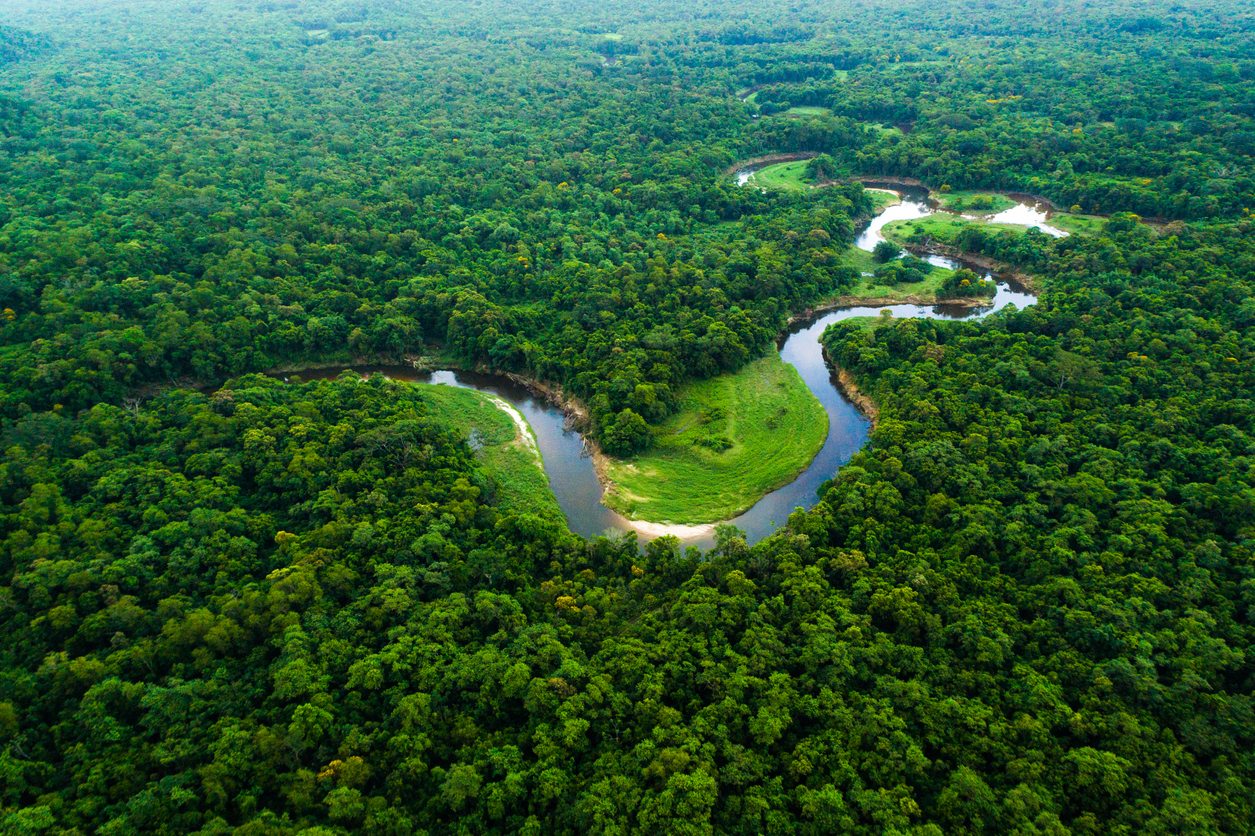 Floresta amazônica