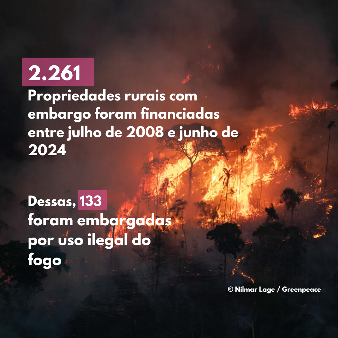 2.261 propriedades rurais foram financiadas com sobreposição de embargo ambiental. Desse total, 133 propriedades foram embargadas por uso ilegal do fogo