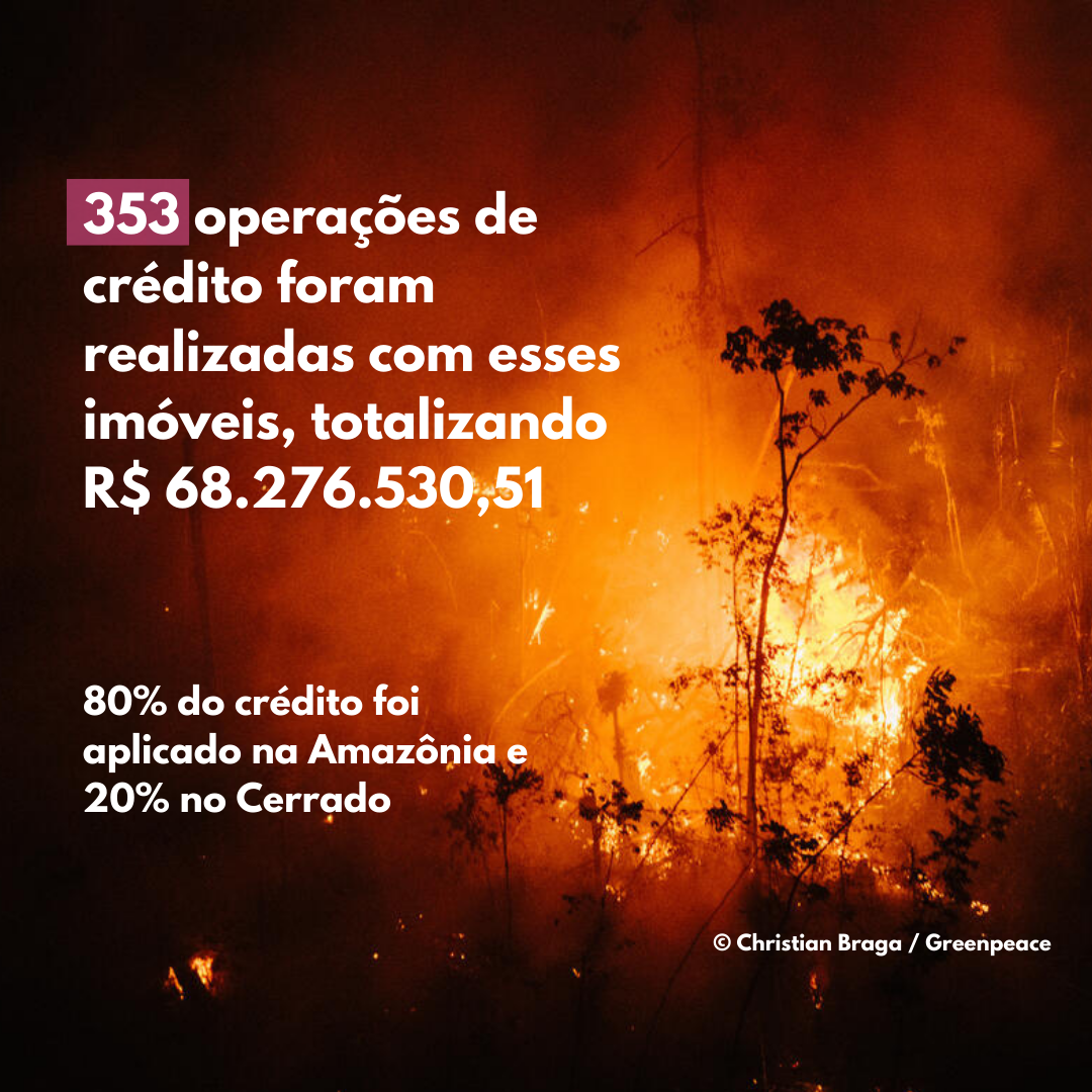 353 operações de crédito foram realizadas com esses imóveis, totalizando R$ 68.276.530,51. 80% do crédito foi aplicado na Amazônia e 20% no Cerrado