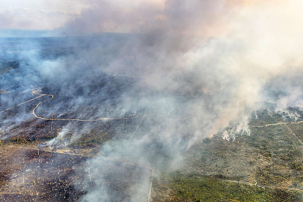 A foto mostra uma propriedade financiada pelo crédito rural queimando no município de Cujubim, no estado de Rondônia.
