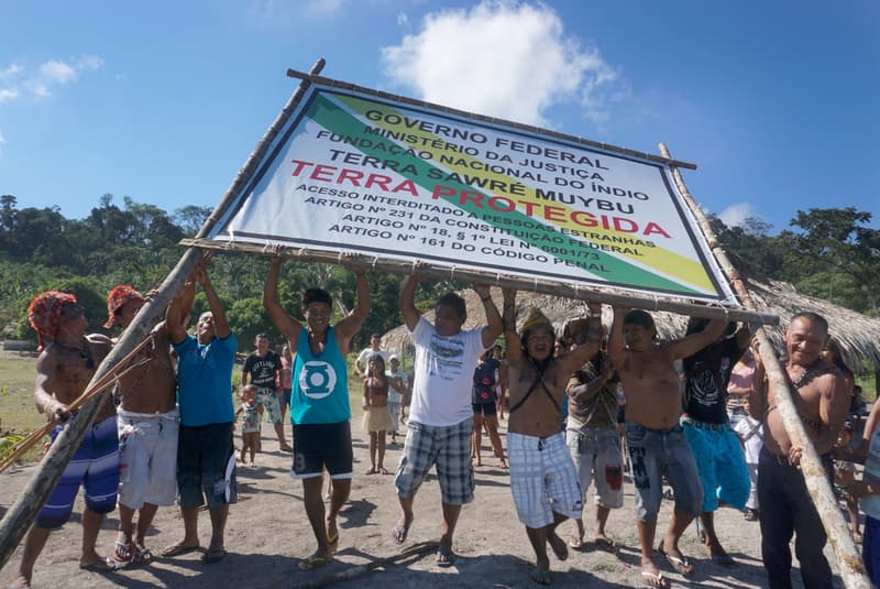 Salve o coração da Amazônia: a luta Munduruku pela Terra Indígena Sawré Muybu