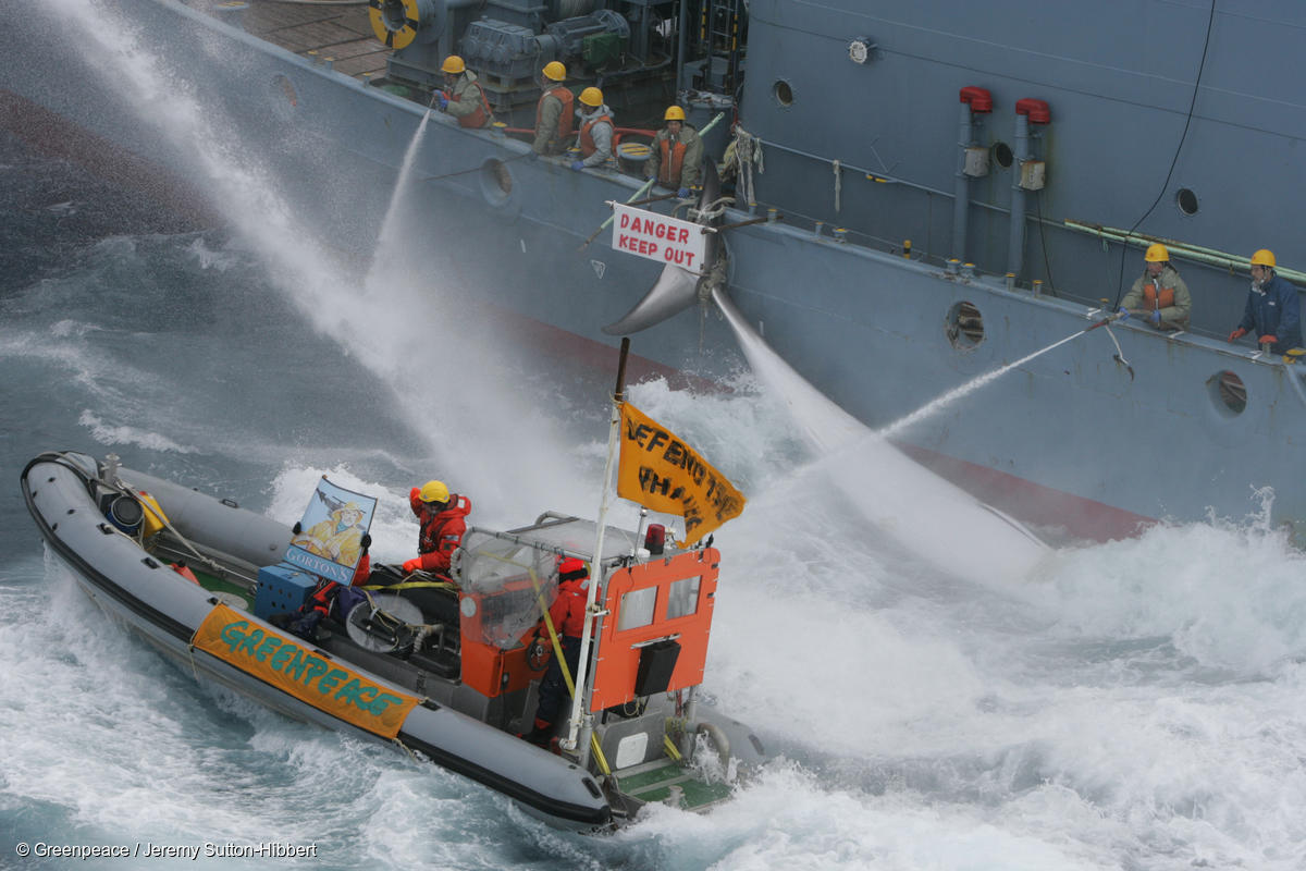 Barcos infláveis do navio MY Esperanza, do Greenpeace, seguram faixas e utilizam todas as medidas disponíveis durante o Southern Ocean Tour de 2005, em uma tentativa de encerrar a caça às baleias e fazer com que esta seja a última vez que o Santuário seja invadido por baleeiros.
