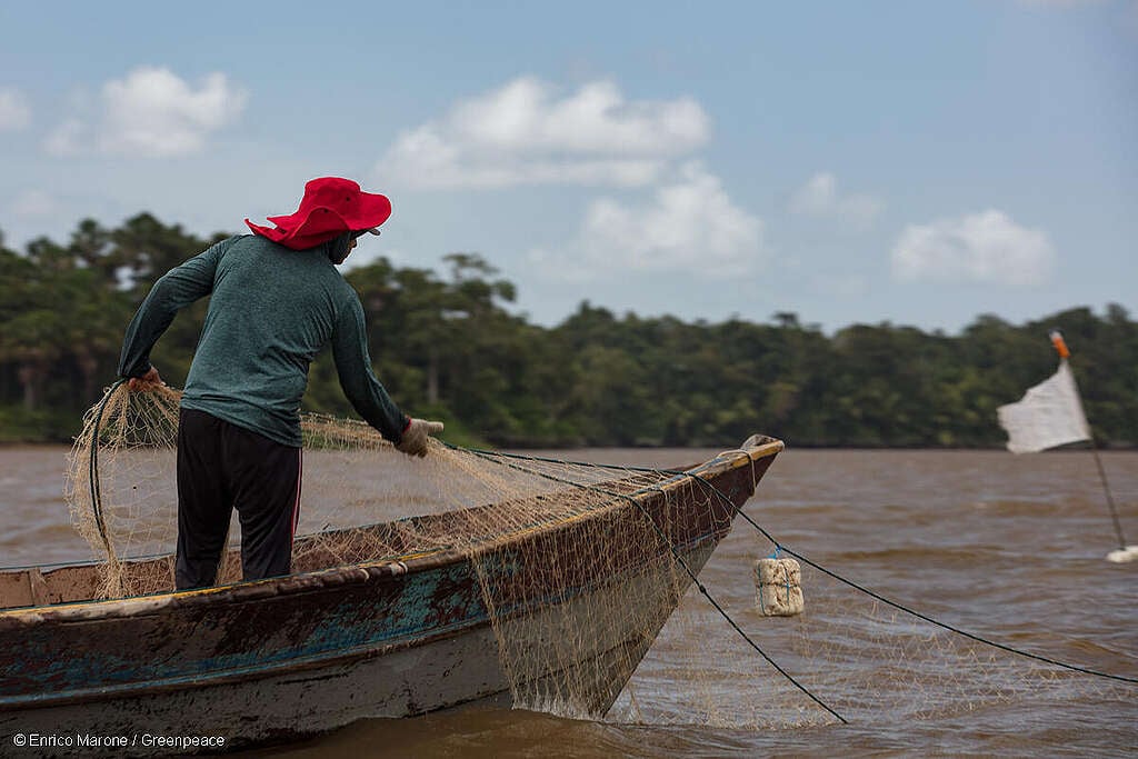 Imagem captada durante a Expedição Costa Amazônica Viva, que teve com o objetivo de documentar os potenciais impactos da exploração de petróleo na costa amazônica. Na foto se vê um pescador artesanal no barco, de chapéu vermelho, jogando sua rede na água.