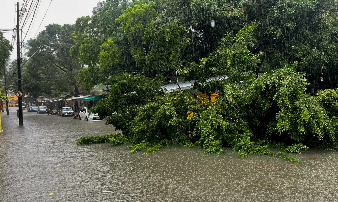 Desastres climáticos no Brasil: o que está acontecendo no Norte e no Nordeste?