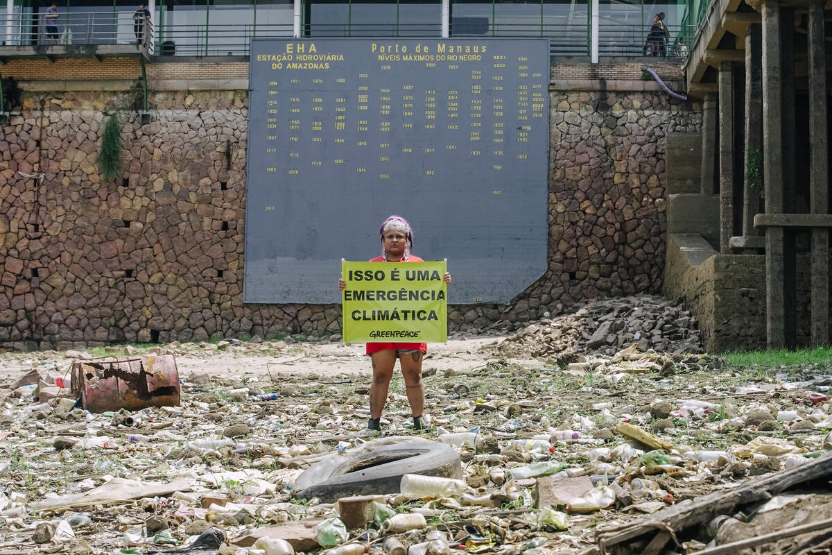 Greenpeace Brasil abre chamada para pesquisas sobre adaptação climática