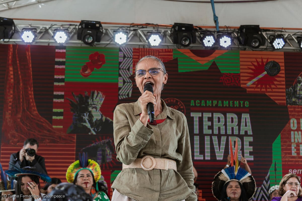Greenpeace Brasil repudia falas machistas e desrespeitosas contra a ministra Marina Silva