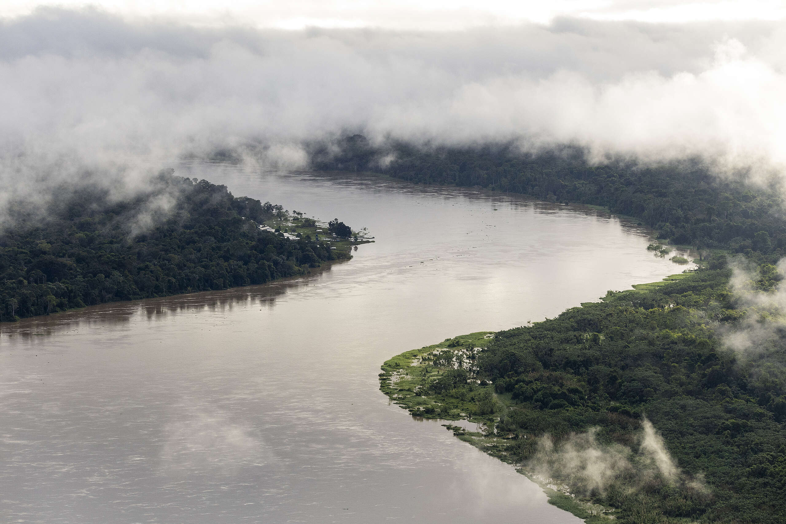 Greenpeace Brasil publica segundo Relatório de Transparência e Igualdade Salarial de 2025