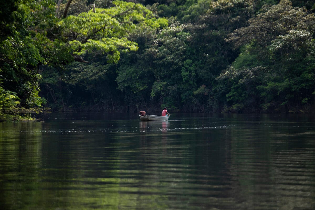 Aprendendo com erros passados no desenvolvimento do Mecanismo Florestas Tropicais para Sempre (TFFF)