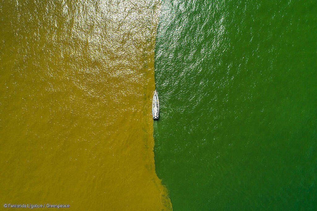 O veleiro Witness, do Greenpeace, entre o ponto de encontro das águas do Rio Amazonas com o Oceano Atlântico.