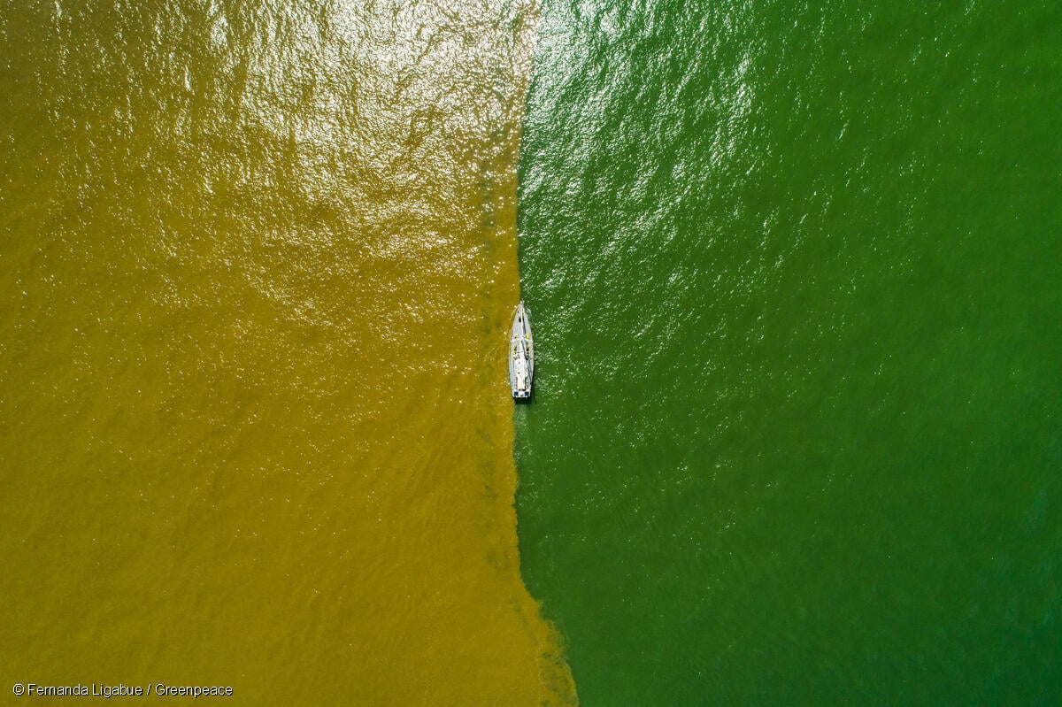Greenpeace Brasil apoia “mapa do caminho” de Marina Silva para eliminar combustíveis fósseis e o desmatamento, com liderança do Brasil
