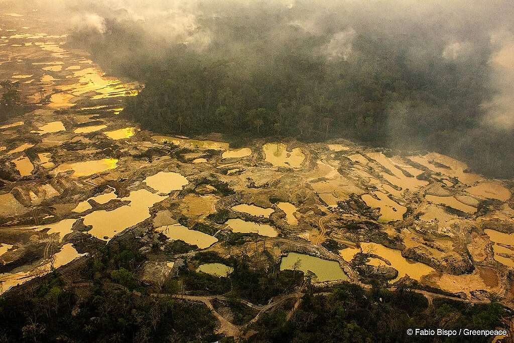 Vista aérea de uma área desmatada na floresta amazônica, parcialmente encoberta por névoa. No solo, há várias poças de água barrenta, que ocupam quase toda a imagem. Essas poças são resultado de atividade de garimpo ilegal, que deixou a terra escavada e destruída. Ao fundo, ainda é possível ver uma faixa de floresta densa e verde. A imagem é do Fábio Bispo.