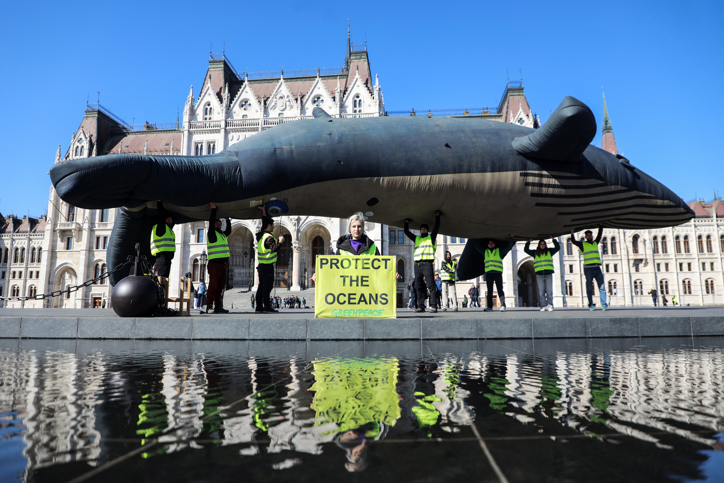 O que é o Tratado Global dos Oceanos e por que o Brasil precisa ratificá-lo?