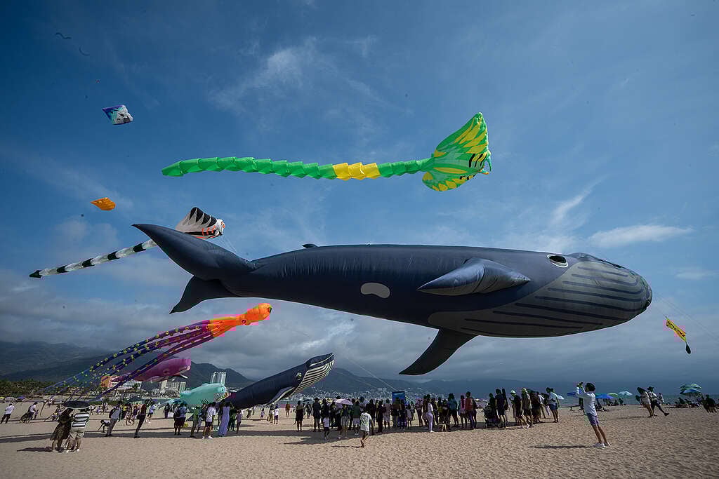 Festival de pipas na praia, com várias pipas grandes em formato de animais marinhos coloridos voando no céu azul. Em destaque, uma enorme pipa azul-escura em forma de baleia, seguida por pipas de arraia verde e amarela, polvo laranja, tubarão e outros bichos marinhos. Muitas pessoas estão reunidas na areia observando e fotografando, com o mar ao fundo e prédios próximos às montanhas. O clima é ensolarado, com algumas nuvens.
