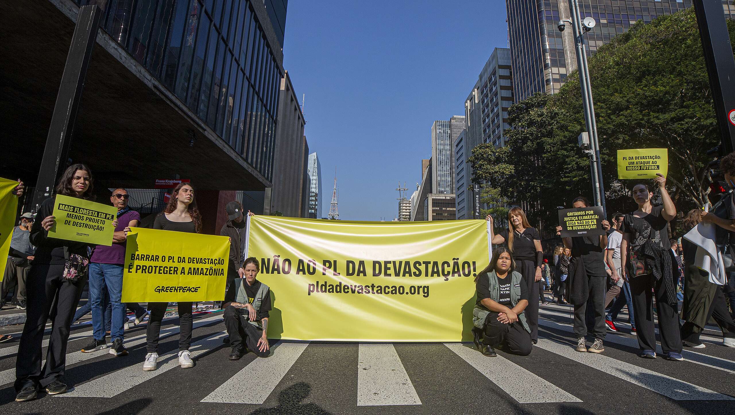 Manifestações contra PL da Devastação ocupam capitais brasileiras