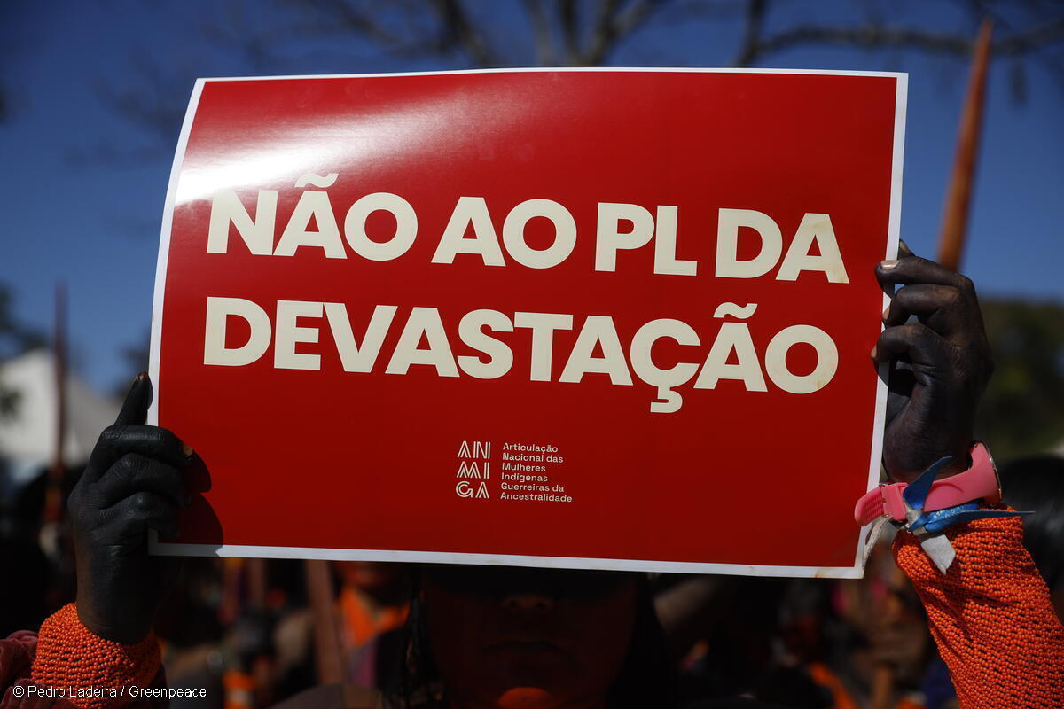 Vetos presidenciais freiam desmonte do licenciamento ambiental