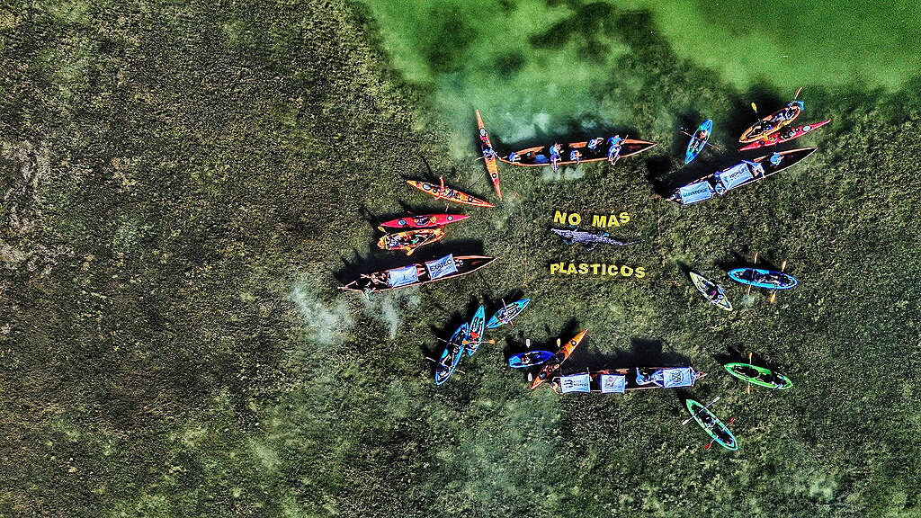 Vista aérea de uma manifestação com caiaques dispostos em círculo sobre vegetação aquática. No centro, letras amarelas formam a frase "NO MÁS PLÁSTICOS", ao lado de um jacaré simbólico. Participantes seguram faixas com mensagens ambientais. A ação denuncia a poluição por plásticos nos ecossistemas aquáticos