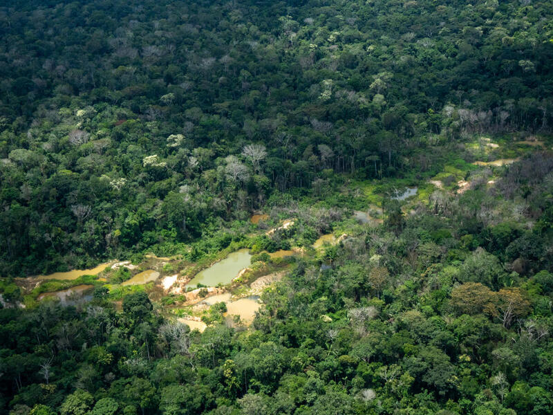 Porque o garimpo ainda continua sendo uma ameaça para a Amazônia?