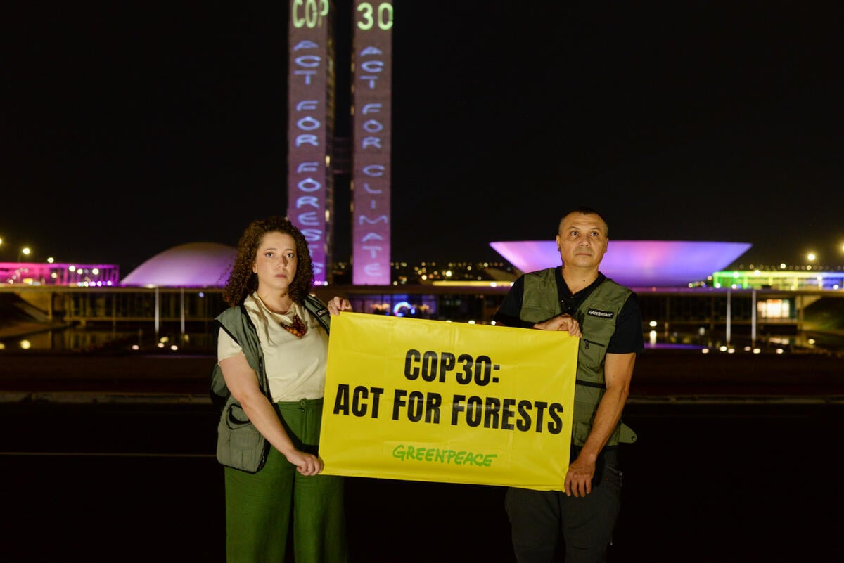 Proteger as florestas é essencial: um chamado à ação na COP30