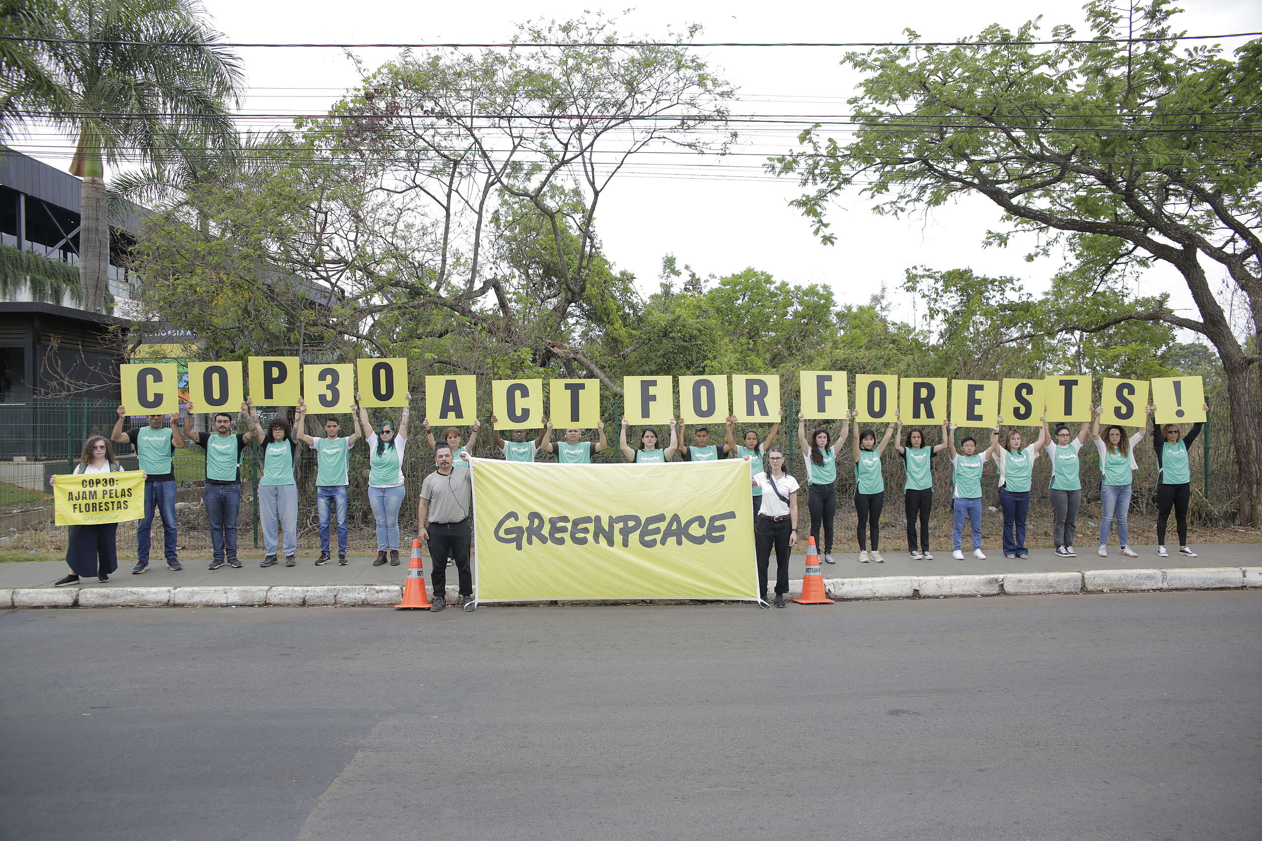 Pré-COP30 não refletiu urgência de proteger as florestas e de zerar o desmatamento até 2030