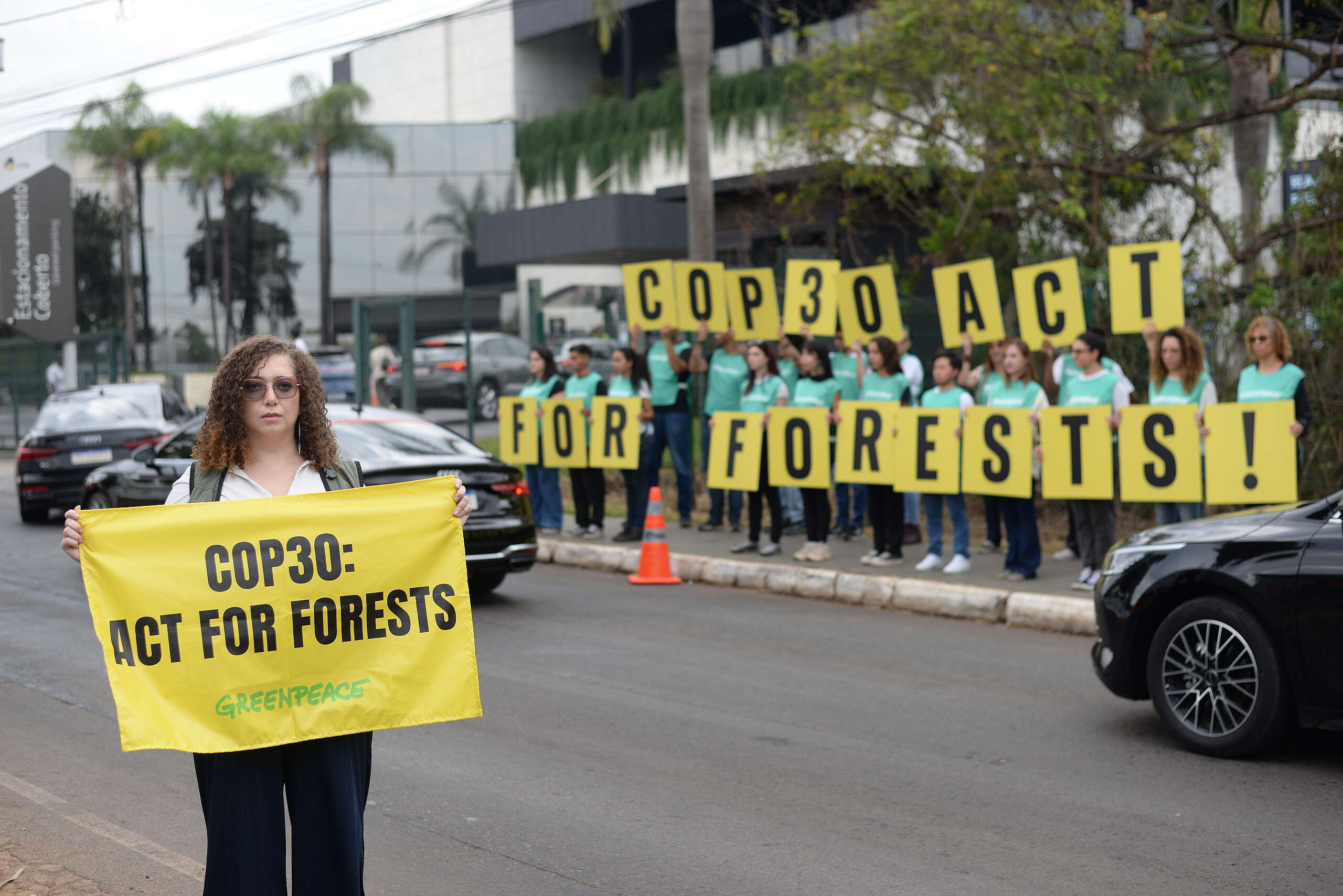 Pré-COP30: Greenpeace Brasil faz apelo por proteção às florestas para negociadores de 67 países reunidos em Brasília