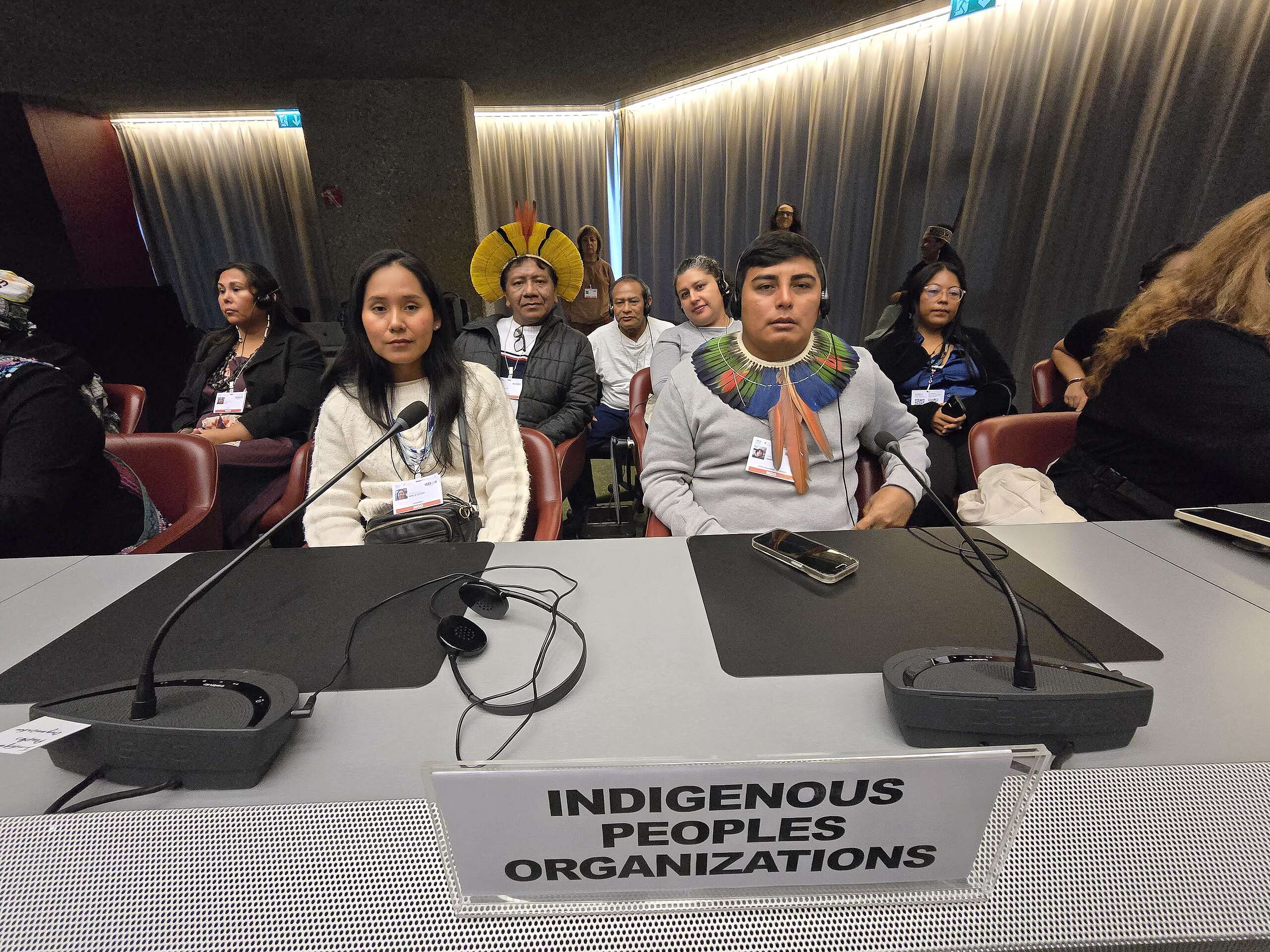 Da COP de Minamata à COP30: Aliança indígena quer uma Amazônia Livre de Garimpo