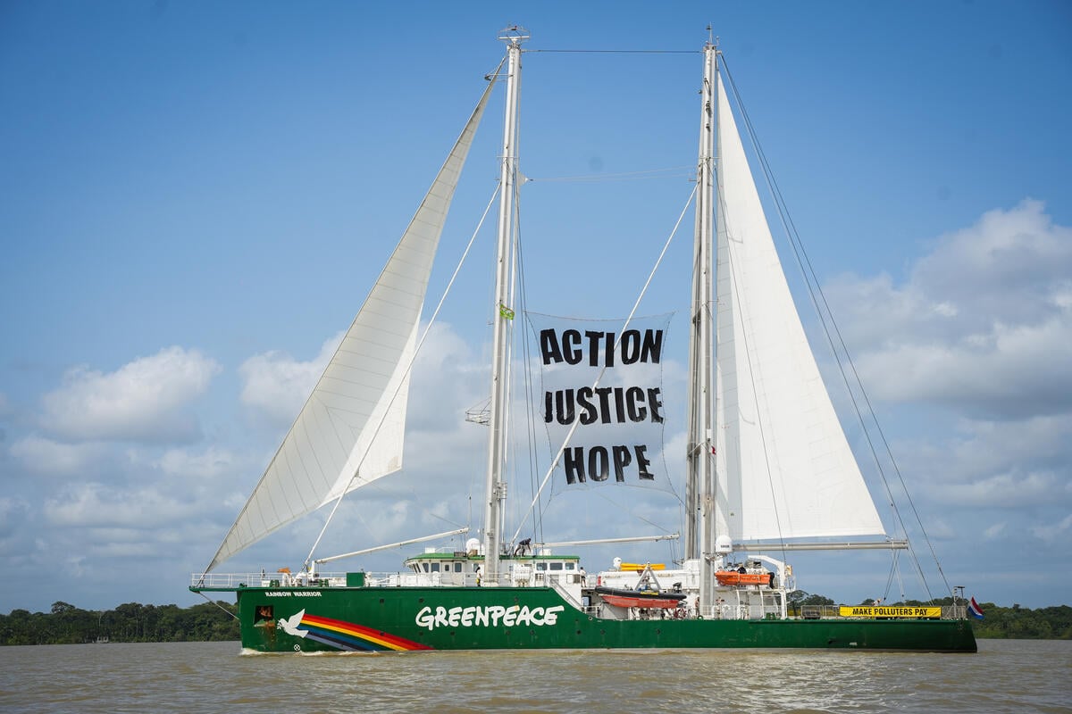 O que o Greenpeace está fazendo na COP30