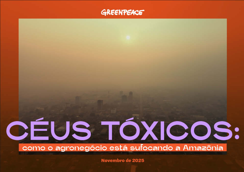 Céus tóxicos: como o agronegócio está sufocando a Amazônia