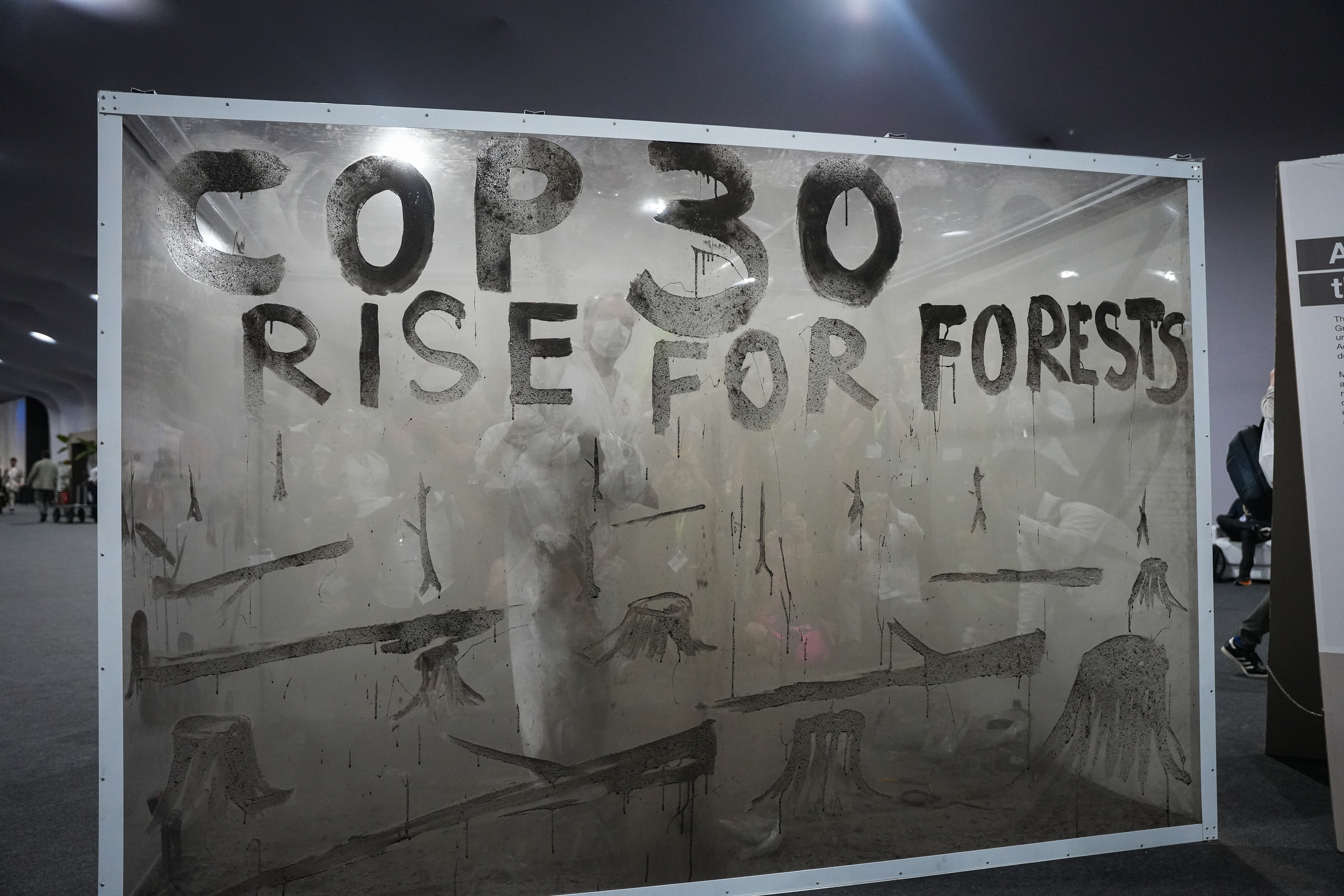 Greenpeace e Mundano levam cinzas da Amazônia para a COP30 para exigir ações em prol das florestas