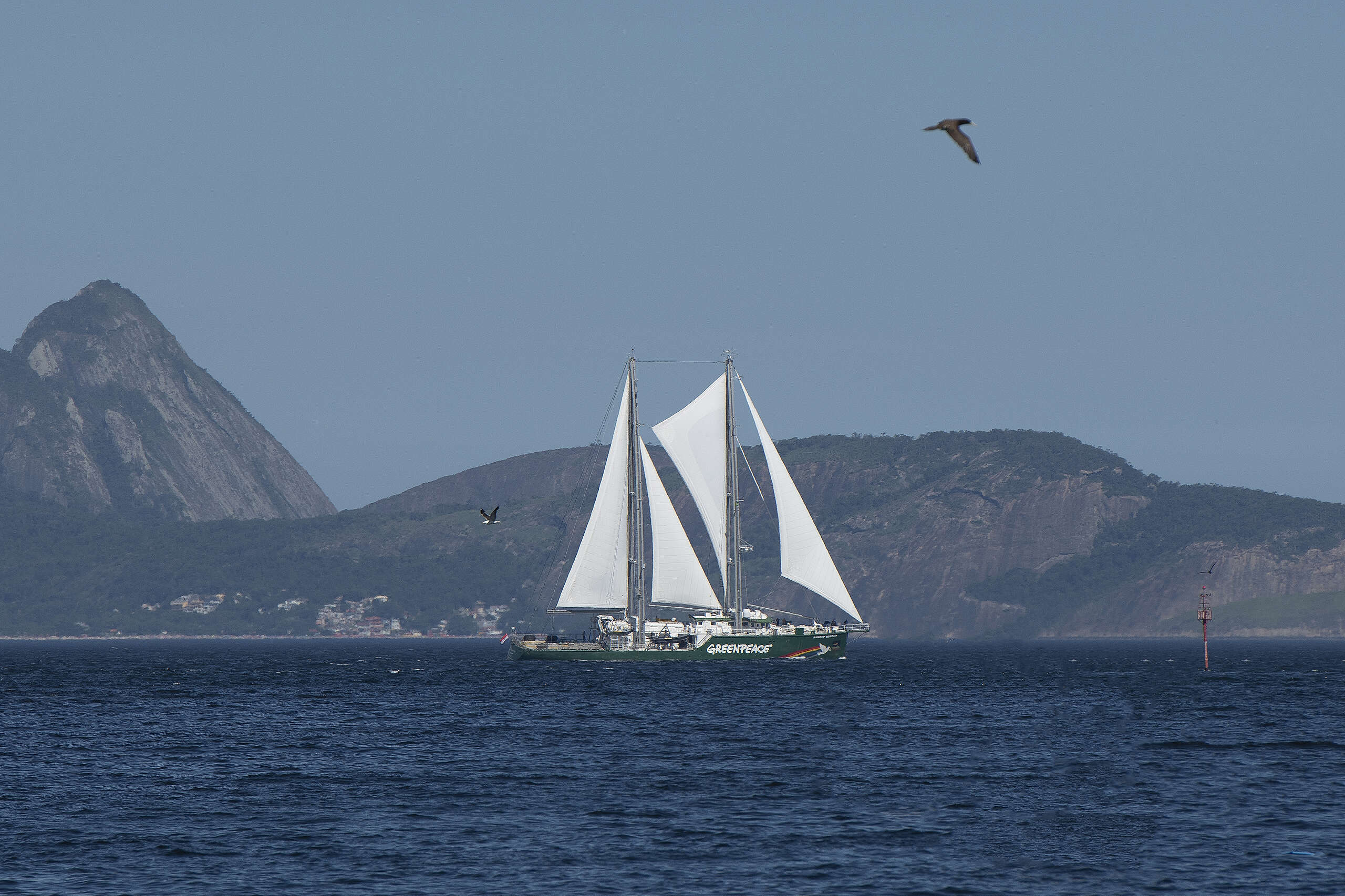 Até logo, Rainbow Warrior!