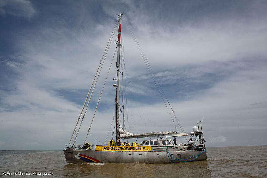 O veleiro Witness navega em águas turvas sob um céu parcialmente nublado. A embarcação exibe na lateral um grande banner amarelo com os dizeres “Expedição Costa Amazônica Viva”. Algumas pessoas estão a bordo, observando a paisagem ao redor. A cena marca o deslocamento do barco durante a expedição científica e de monitoramento ambiental.